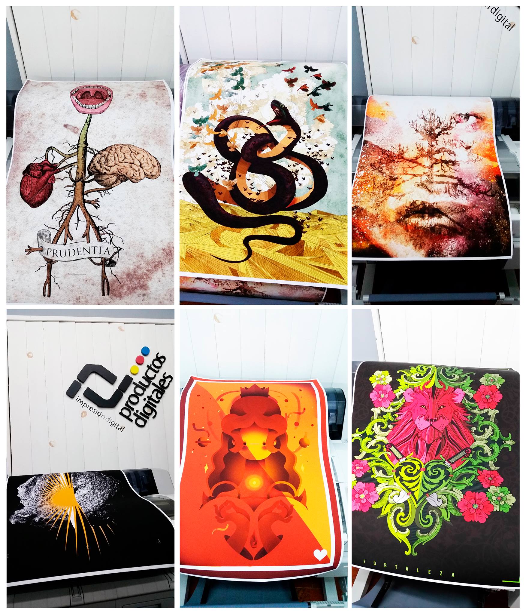 Plotter-de-ilustraciones-en-papel-presentacion.jpg carteles impresos en plotter 90x60cm